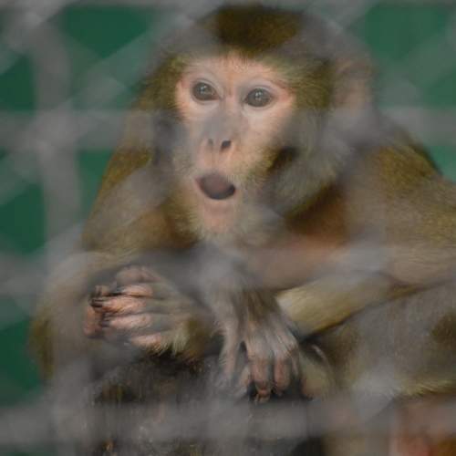 Photo #9717781