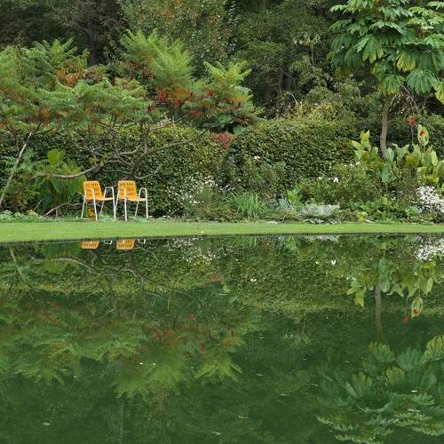 Photo #9717956