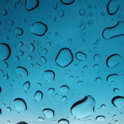 Photo #9718025