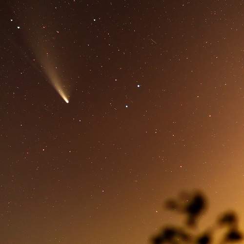 Photo #9718139