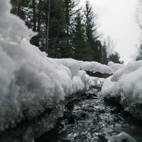 Photo #9718209