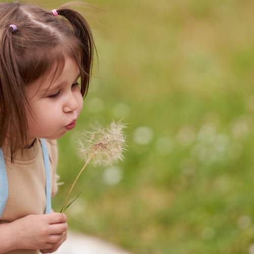 Portrait of a girl on a green background.