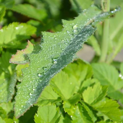 Photo #9718379