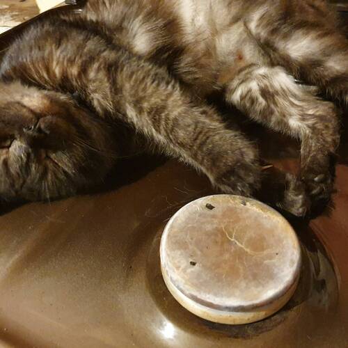 Photo #9718589