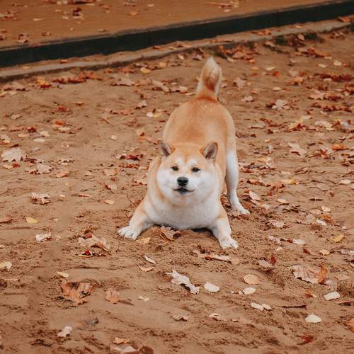 Photo #9718686