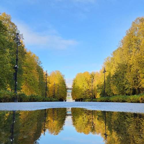 Photo #9718780