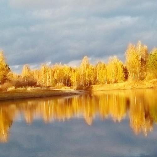 Photo #9719095