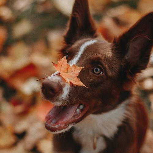 Photo #9719285