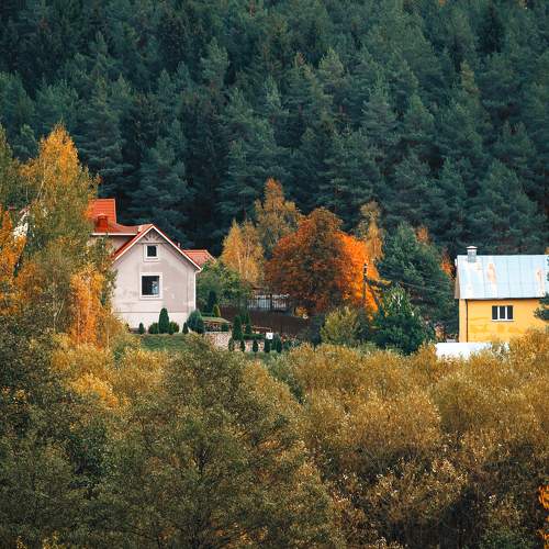 Photo #9719416