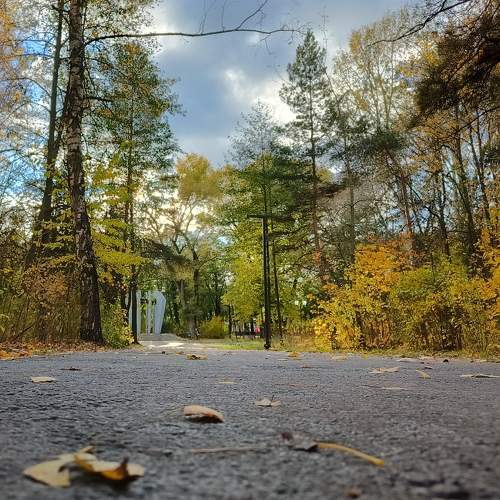 Photo #9719459