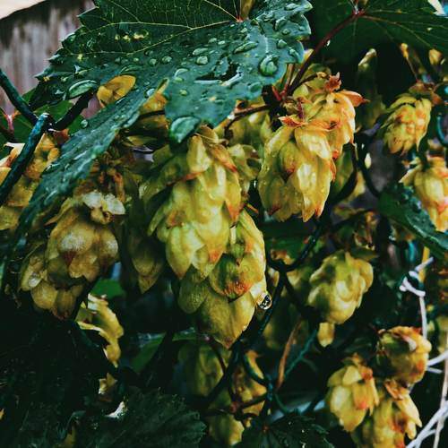 Photo #9719979