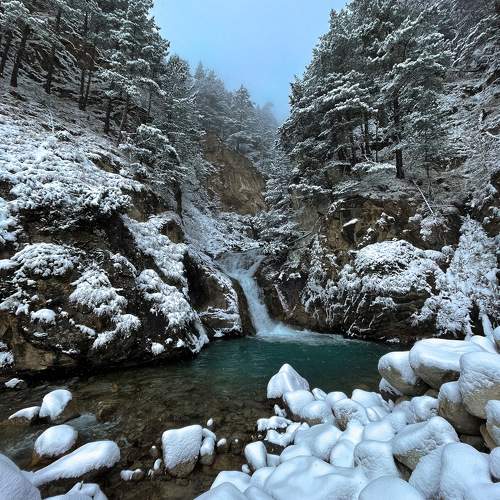 Photo #9720213