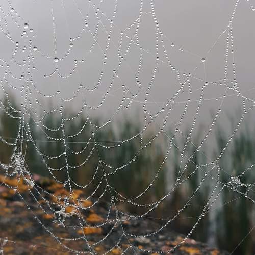 Photo #9720402