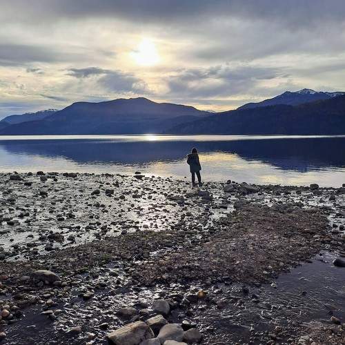 Photo #9720630