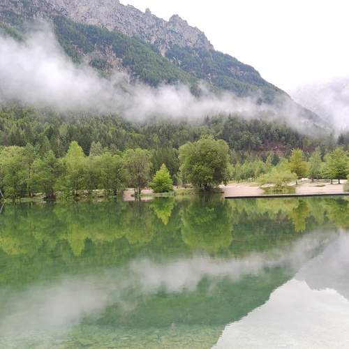 Photo #9720715