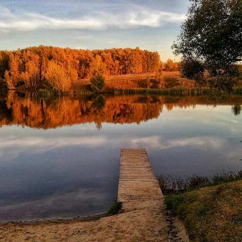 Photo #9720781