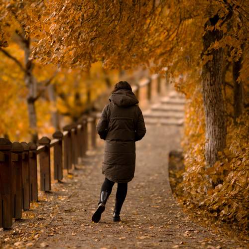 Photo #9720902