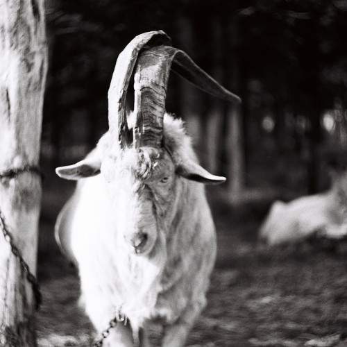Photo #9720908