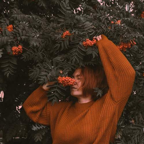Photo #9721153
