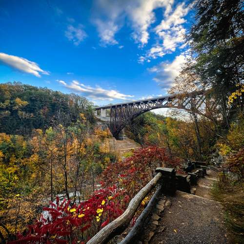 Photo #9721542