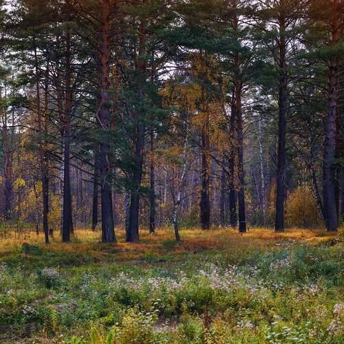 Photo #9721549