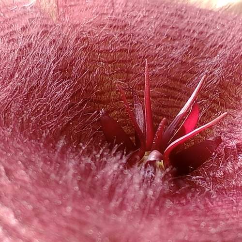 Photo #9721666