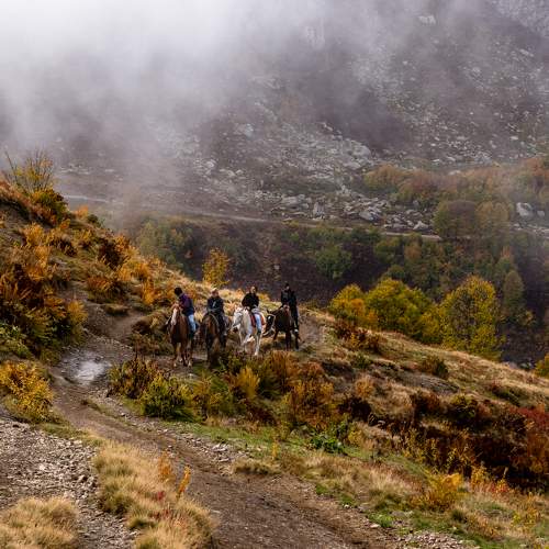 Photo #9721835