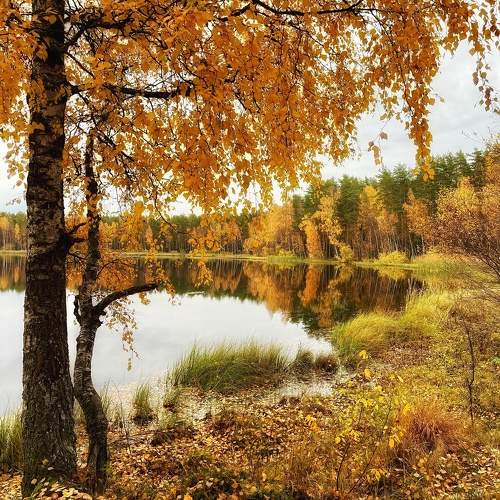Photo #9721842