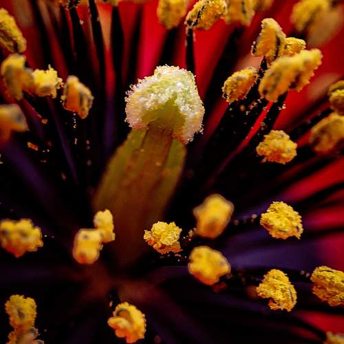Photo #9721846
