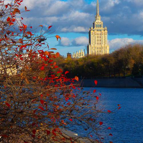 Photo #9721898