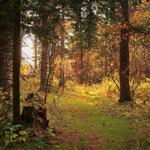 Photo #9721931