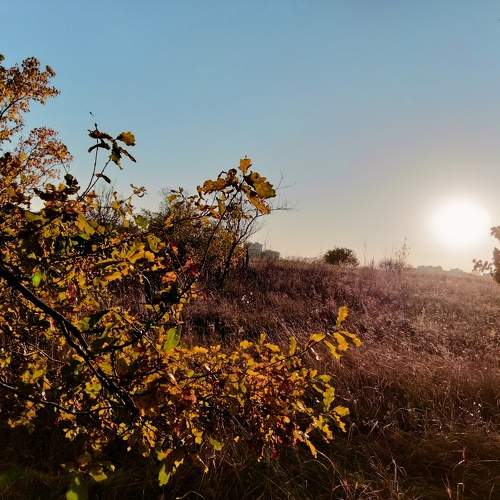 Photo #9722129