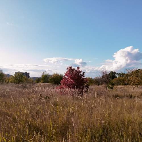 Photo #9722138