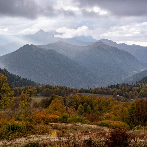 Photo #9722258