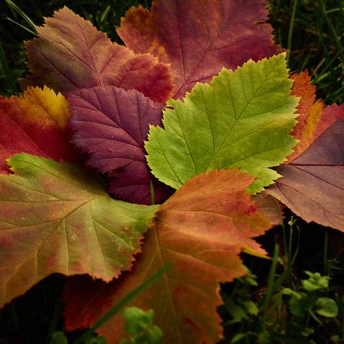 Photo #9722506