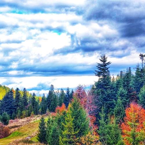 Photo #9722557