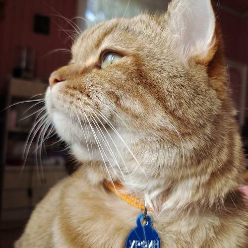 Photo #9722687