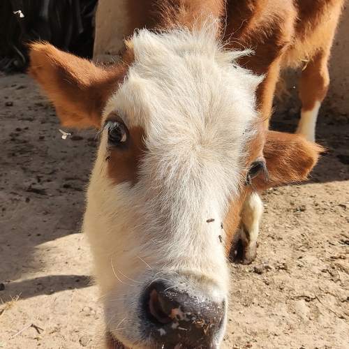 Photo #9722699