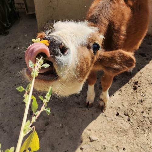 Photo #9722702