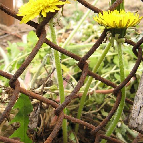 Photo #9722715