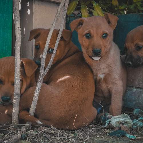 Photo #9723093