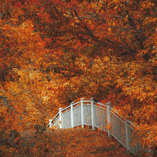 Photo #9723213