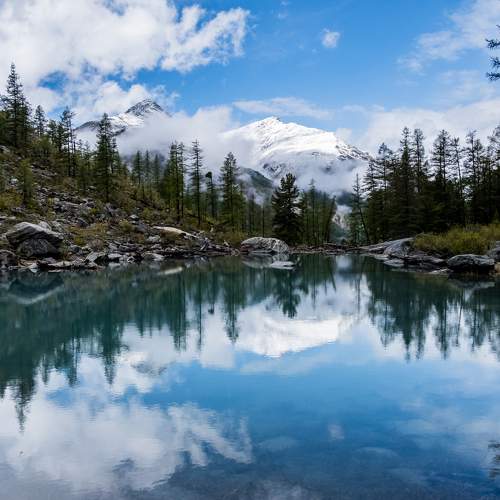Photo #9723737