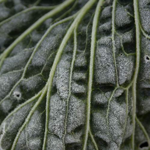 Photo #9723757
