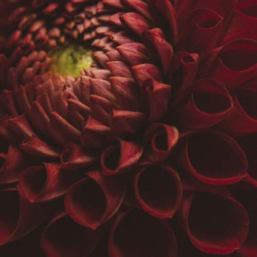 Photo #9723758