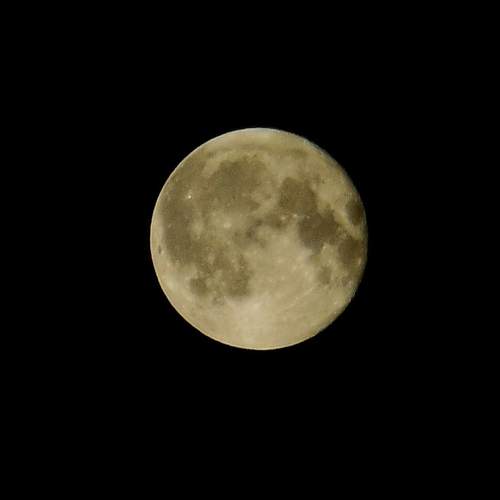 Photo #9724402