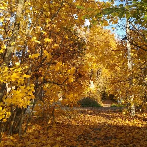 Photo #9724495