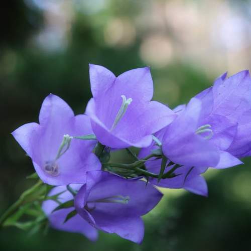 Photo #9724498