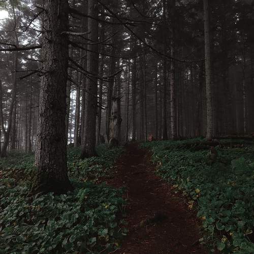 Photo #9724641