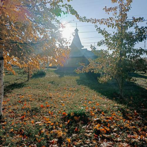 Photo #9724885